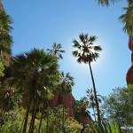 Thumbnail Photo for the Bungle Bungle Bungle Bungle! Bungle Gallery.